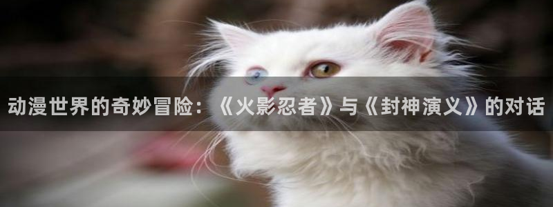 age 动漫下载：动漫世界的奇妙冒险：《火影忍者》与《封神演义》的对话配图