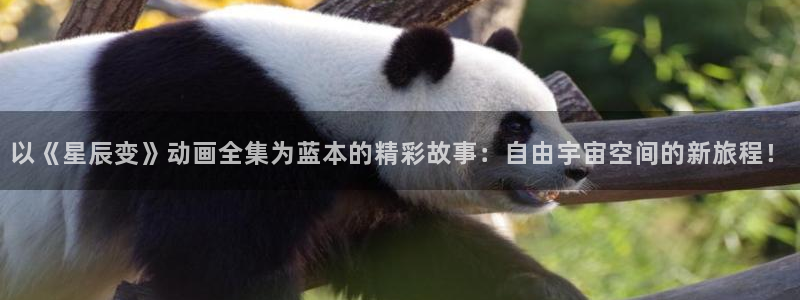 下载age官方动漫：以《星辰变》动画全集为蓝本的精彩故事：自由宇宙空间的新旅程！配图