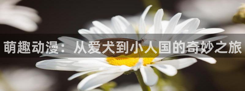 怎么下载age动漫：萌趣动漫：从爱犬到小人国的奇妙之旅配图