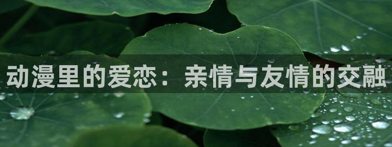 新版age动漫下载：动漫里的爱恋：亲情与友情的交融配图