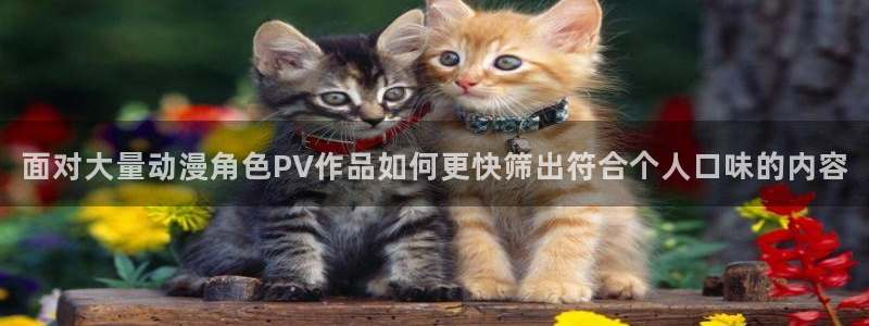 age 动漫下载老版：面对大量动漫角色PV作品如何更快筛出符合个人口味的内容配图
