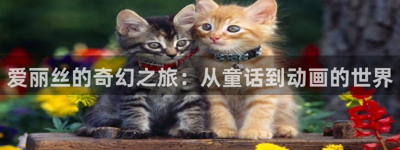 age动漫怎么下载：爱丽丝的奇幻之旅：从童话到动画的世界配图