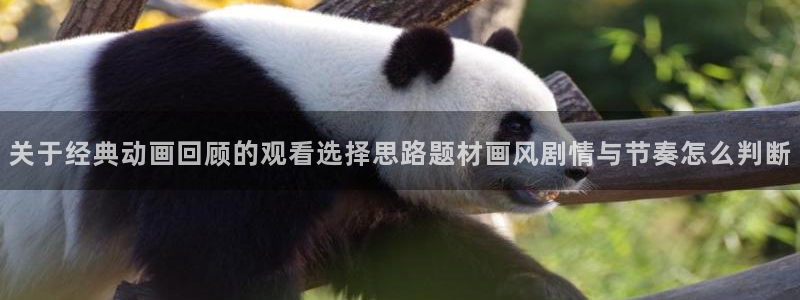 age翼动漫下载：关于经典动画回顾的观看选择思路题材画风剧情与节奏怎么判断配图