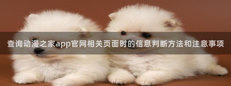 age动漫下载手机：查询动漫之家app官网相关页面时的信息判断方法和注意事项配图
