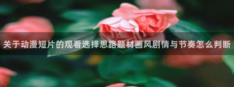 天使age动漫下载:关于动漫短片的观看选择思路题材画风剧情与节奏怎么判断配图