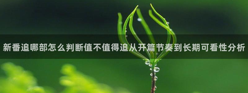 软件AGE动漫下载：新番追哪部怎么判断值不值得追从开篇节奏到长期可看性分析配图