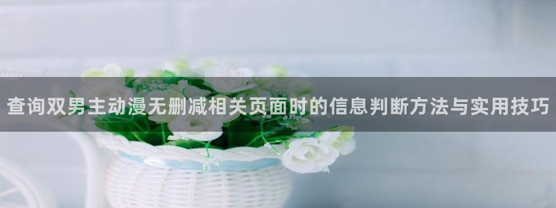 age动漫华为下载:查询双男主动漫无删减相关页面时的信息判断方法与实用技巧配图