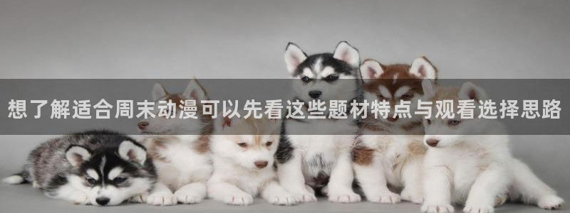 age 动漫下载入口：想了解适合周末动漫可以先看这些题材特点与观看选择思路配图