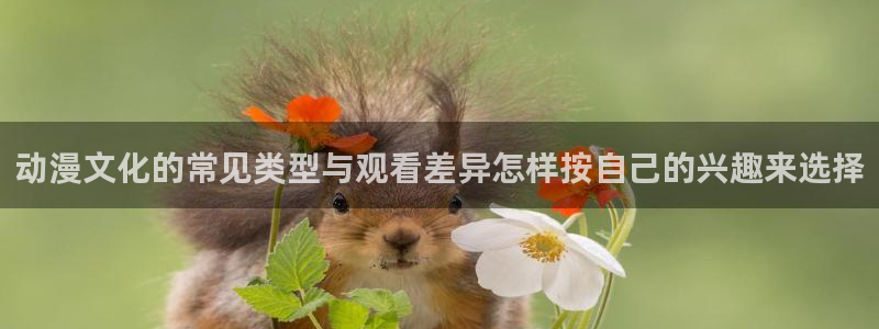 age动漫pc下载:动漫文化的常见类型与观看差异怎样按自己的兴趣来选择配图